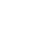 天占